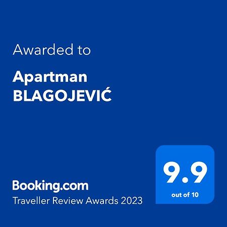 Apartman Blagojevic Баня-Ковиляча Экстерьер фото